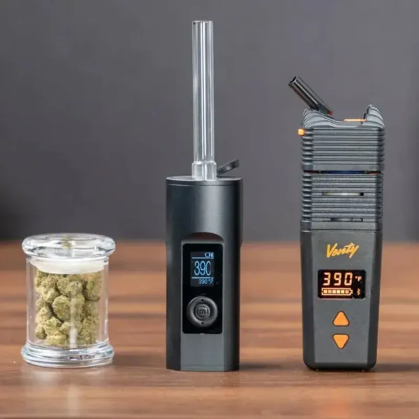 Elfworld 12000 Puffs Mint Menthol – Vape Shop Mumbai