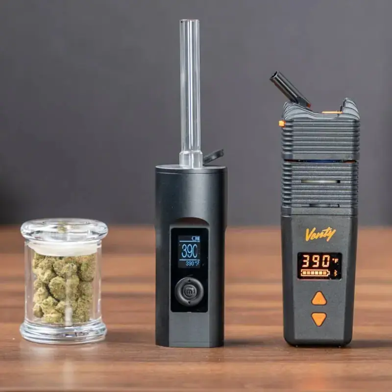 Elfworld 12000 Puffs Mint Menthol – Vape Shop Mumbai